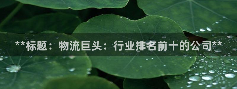 28圈模拟器在线使用：**标题：物流