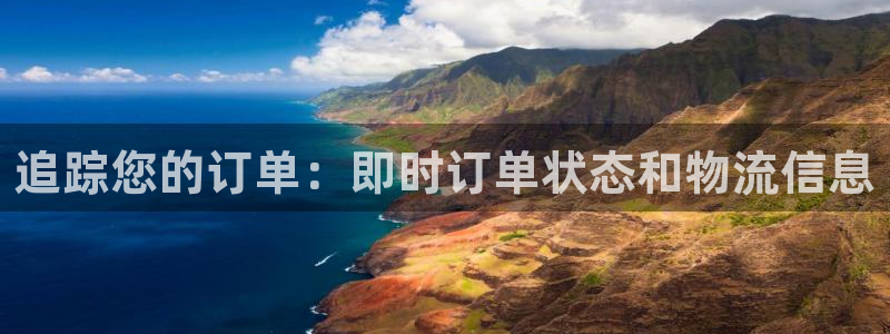 28圈模拟器在线玩：追踪您的订单：即