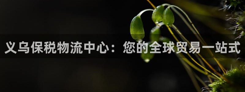 28圈官方官网：义乌保税物流中心：您