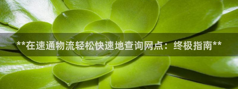 28圈比特28预测在线预测：**在速