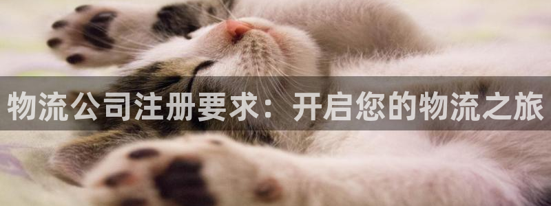 28圈.ccmpc正版：物流公司注册要求：开启您的物流之旅