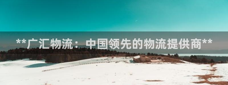 28圈怎么下载不了：**广汇物流：中