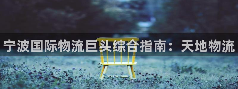 28圈提现未达5期是什么意思：宁波国际物流巨头综合指南：天地
