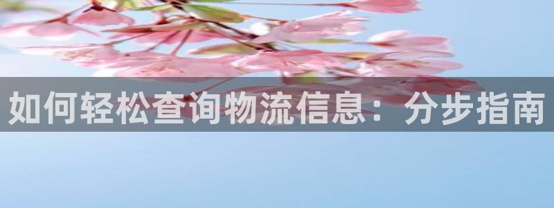 28圈为什么没有赢过一次：如何轻松查