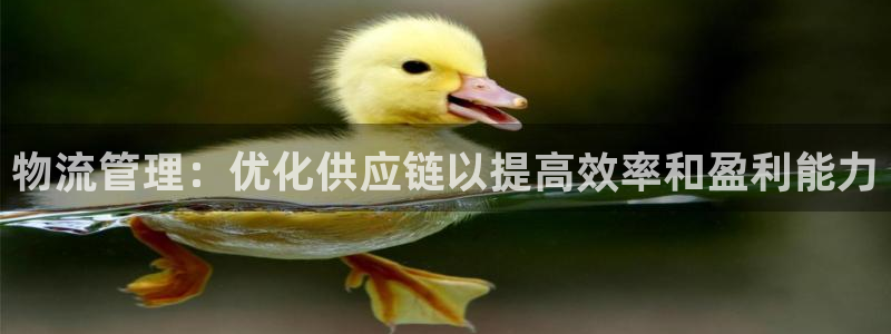 28圈注册登录链接：物流管理：优化供