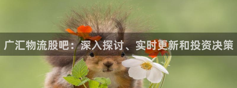 28圈龙虎：广汇物流股吧：深入探讨、