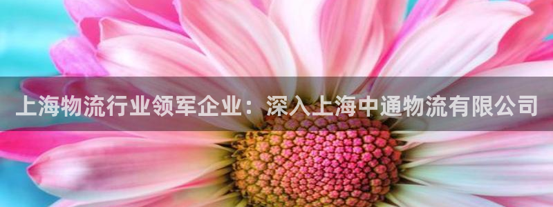 28圈模拟器在线使用：上海物流行业领