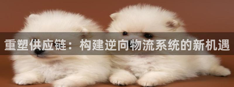28圈充值不到账