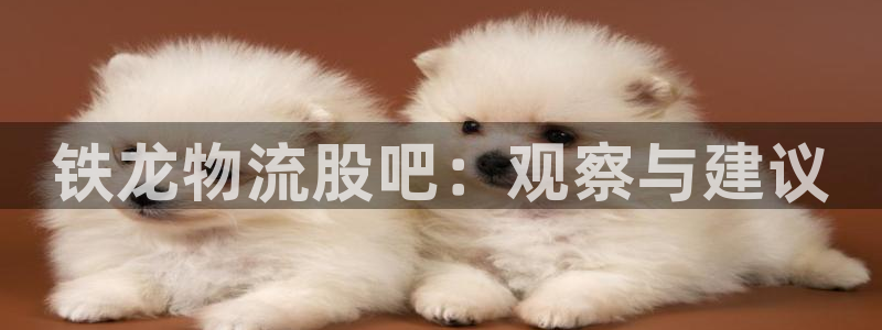 28圈登录不上咋回事