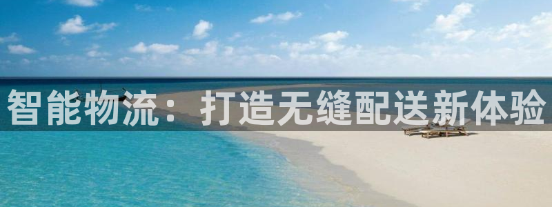 28圈怎么下载教程:智能物流:打造无