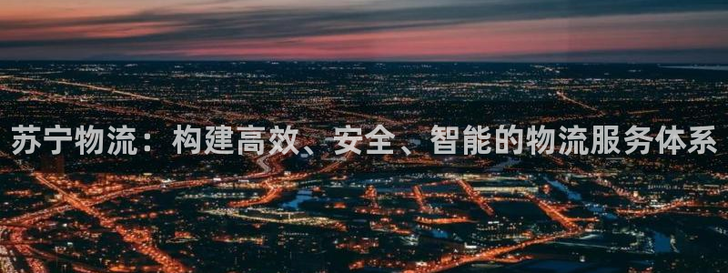 28圈网站怎么注册：苏宁物流：构建高