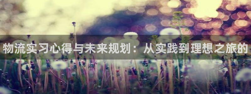 28圈麻将胡了在线试玩：物流实习心得