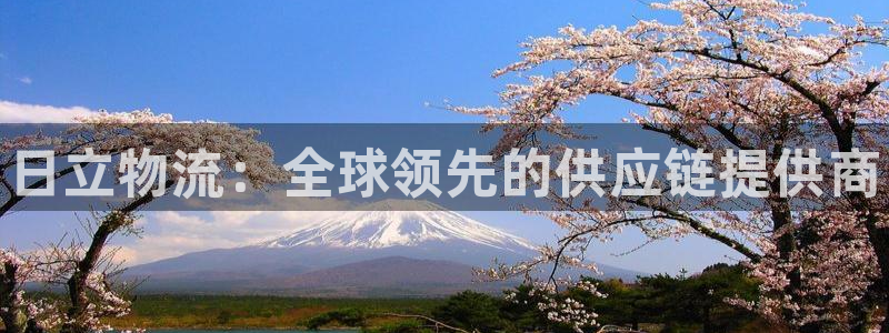 28圈注册地址:日立物流:全球领先的