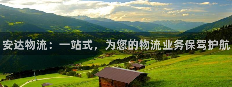 28圈官方版正版：安达物流：一站式，为您的物流业务保驾护航
