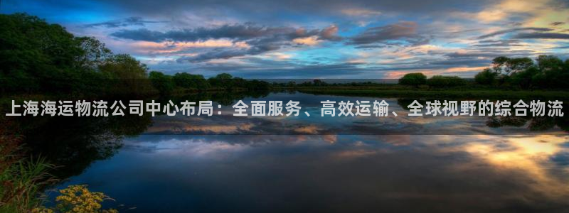 28圈机器人是什么软件：上海海运物流公司中心布局：全面服务、