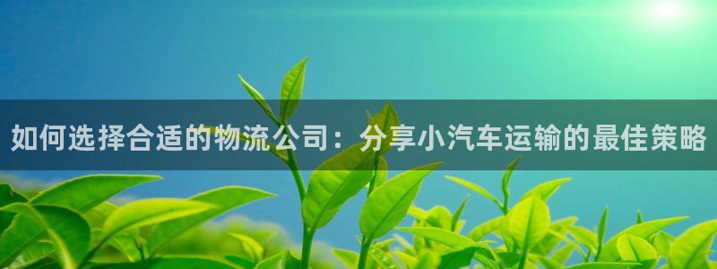28圈提现未达5期是什么意思：如何选