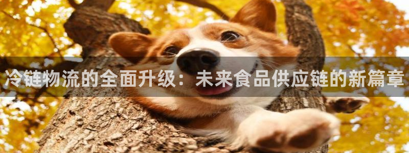 加拿大28圈是什么