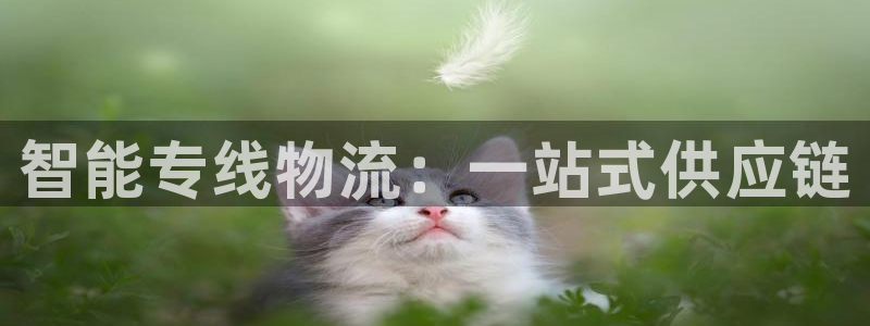 28圈比特28真实吗