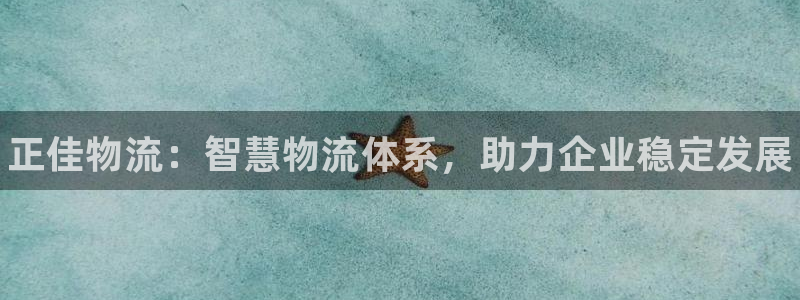 28圈注册网页：正佳物流：智慧物流体
