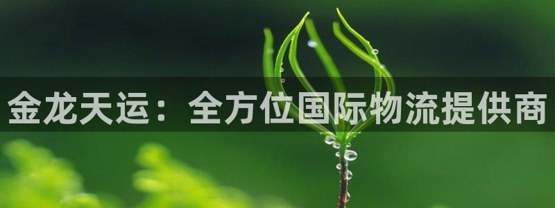 28圈激活码:金龙天运:全方位国际物