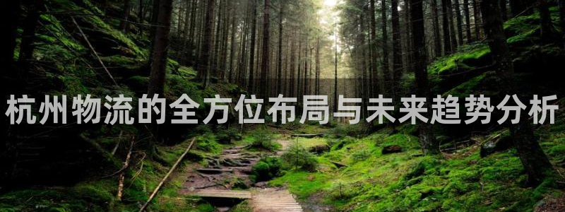 28圈麻将胡了爆分视频：杭州物流的全