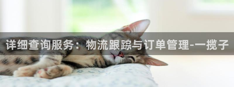 28圈麻将：详细查询服务：物流跟踪与订单管理-一揽子