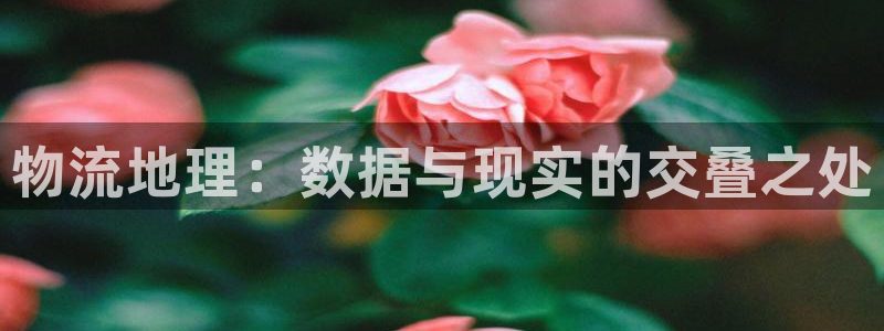 28圈p扣除是什么意思：物流地理：数