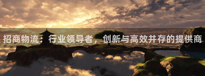 28圈加拿大是什么：招商物流：行业领