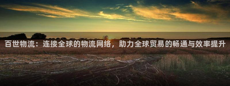 28圈怎么注册游戏名字：百世物流：连