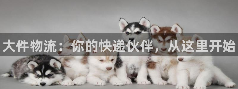 28圈黑吗:大件物流:你的快递伙伴,