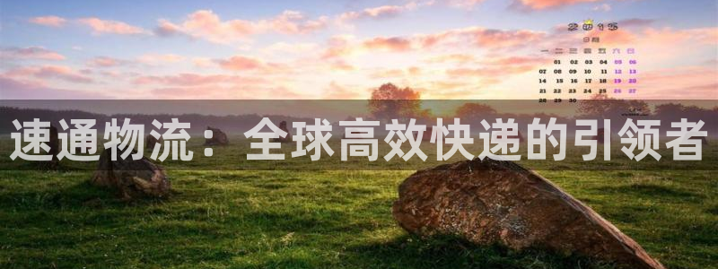 28圈注册限制怎么解除:速通物流:全