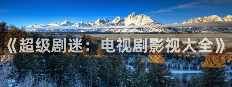 殇情影院yy：《超级剧迷：电视剧影视大全》