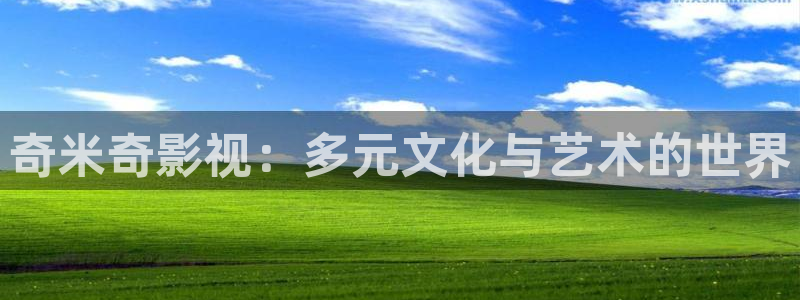 yy6080新视觉殇情影院：奇米奇影视：多元文化与艺术的世界