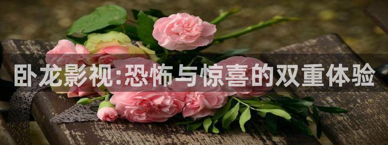 殇情影院理论：卧龙影视:恐怖与惊喜的双重体验