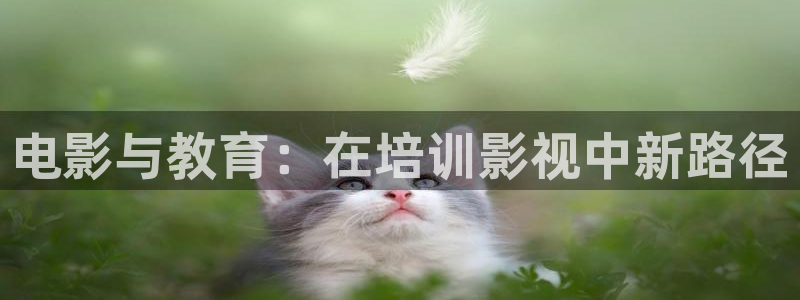 青苹果影院殇情：电影与教育：在培训影视中新路径