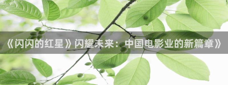 4480殇情影院：《闪闪的红星》闪耀未来：中国电影业的新篇章》