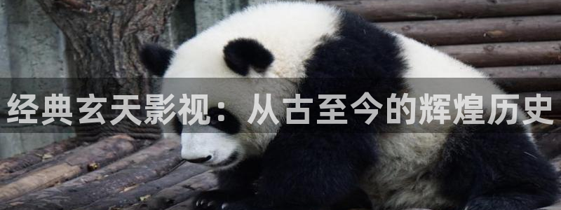 yy殇情影院：经典玄天影视：从古至今的辉煌历史