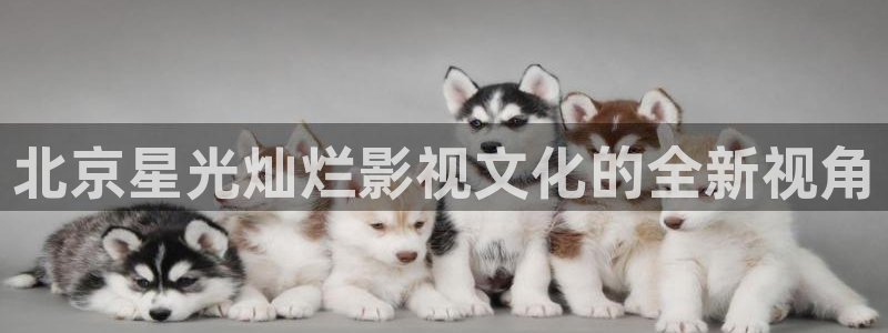 青苹果影院殇情：北京星光灿烂影视文化的全新视角