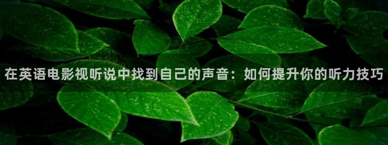 yy殇情影院：在英语电影视听说中找到自己的声音：如何提升你的听力技巧
