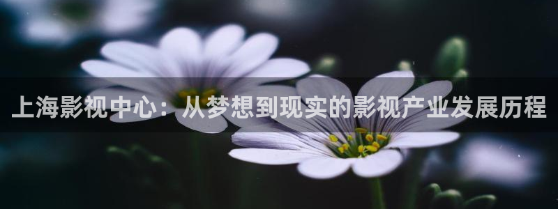 yy6080殇情影院：上海影视中心：从梦想到现实的影视产业发展历程