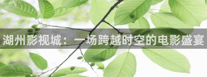 殇情影院影院：湖州影视城：一场跨越时空的电影盛宴