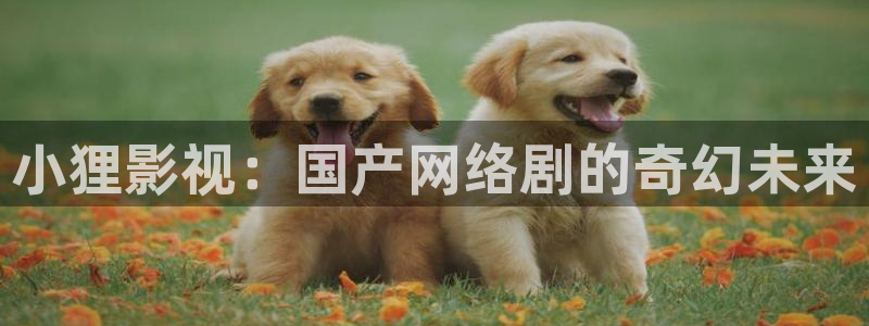 青苹果影院殇情：小狸影视：国产网络剧的奇幻未来