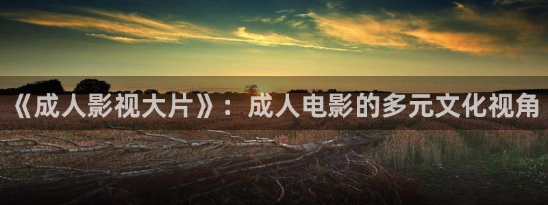 殇情私人影院：《成人影视大片》：成人电影的多元文化视角